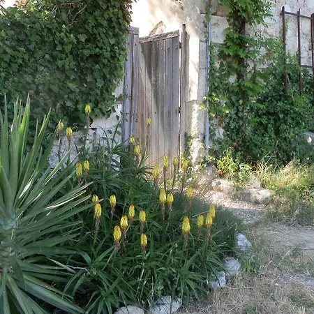 Domaine de Manteau-Bleu-3